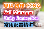 CCNA Voice从入门到精通 语音视频教程call manager Unity connection常用配置精讲