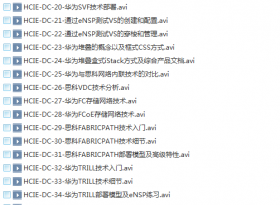 2016¡YesLAB  ΪHCIEDCĿγƵ40 ඥ 8CCIE