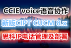 CCIE voiceЭ °CIPT CUCM˼IP绰 UCCM8.x