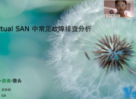  VIPγ 洢۷Ƶ̳ VMware Virtual SAN ŵͨ ֵ1080