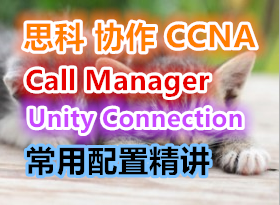 CCNA Voiceŵͨ Ƶ̳call manager Unity connectionþ