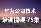 [ΪƷά].Ϊ˾ѵƵ.(75ļ)