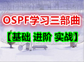 OSPFѧϰ������������ ���� ʵս��ѧϰ�ʼǷ���