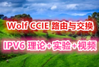 Wolf CCIE ·���뽻�� ר����Ƶ����IPV6���ۺ�ʵ����Ƶ�γ�