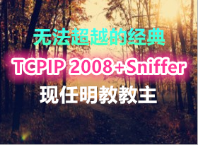 �޷���Խ�ľ��� �������̽���TCPIP 2008+Sniffer Э��ץ������ ���������Ƶ (�����)