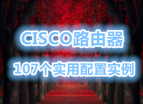 107ʵCISCO·ʵ  ˬ