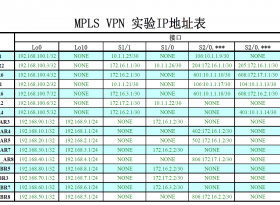 MPLS VPN  ʵȫָ(ѧԱʼ)