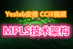 Yeslab MPLSܹƵ̳̣26TE CEFת