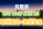 13G Wolf ° CCIE RS ѵƵ ʵ  һѧ˼缼γ