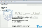 [ϼ]Juniper SRX 뽲Ƶ̳̣Ƶ+ʵģ+ѧϰϣ