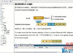 CCIEIPv6Ƶ̳ (ϸ)WOLF ֽ Lynn IPv6Ƶ  16 ط