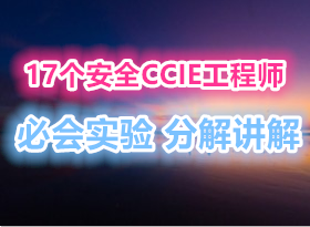 17����ȫCCIE����ʦ�ػ�ʵ�� �ֽ���ϸ����
