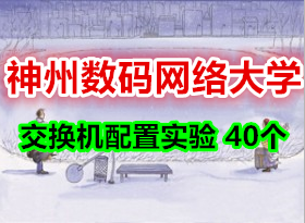40 ѧ ڲѵ ʦʵֲ 