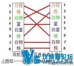 1_110222184920_1.jpg