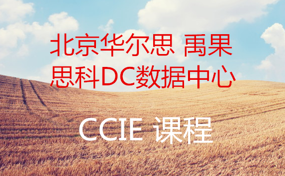 ���������ء���������˼���� ˼��DC��������CCIEֱͨ���γ�(��25��)