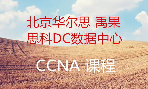 【批量下载】北京华尔思禹果 思科DC数据中心CCNA基础入门课程(共8集)