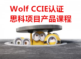 147356474493cc94d.png