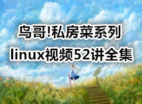 !˽ϵlinuxƵ52ȫ ͬγ Ϧ[52][1G]