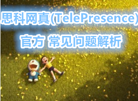 ˼������(TelePresence) ��Ƶ����ϵͳ �ٷ����������� �������� ֵ���ղ�
