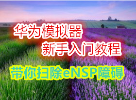 ��Ϊģ�����������Ž̳� ����ɨ��eNSP�ϰ�