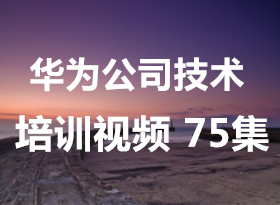 [ΪƷά].Ϊ˾ѵƵ.(75ļ)