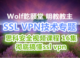 WolfǬ ̽SSL VPNר˼ưȫƵγ 16 ׸㶮ssl vpn