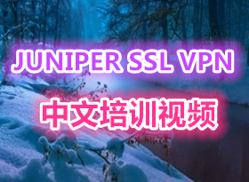 JUNIPER SSL VPNѵƵ ǽѵǿ 900ҳԭ