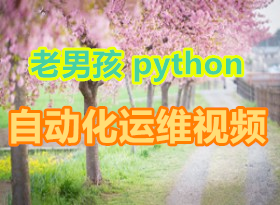 ���к�python�Զ�����ά��Ƶ�̳̣�ȫ9����