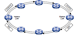H3CӪ̹ʨر MPLS+OAM