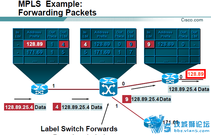 ˼������ ���������ֲ� MPLS-overview