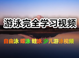 游泳完全学习视频 自由泳 蝶泳 蛙泳 少儿游泳视频 零基础学习