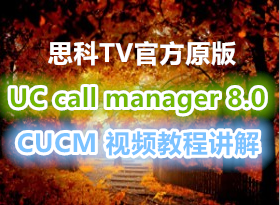 ˼TVٷԭ  UC CUCM call manager 8.0Ƶ̳̽ Ӣ
