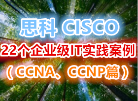 ˼cisco 22ҵITʵCCNACCNPƪ
