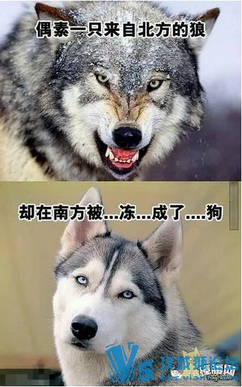 ��������᡿����ѧ�����½�����--�Ϻ��ֶ�