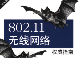 616ҳ��ϸ! ԭ�淭��!! 802.11��������Ȩ��ָ�� (�ڶ���)