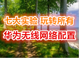 ߴʵ תлΪ HCNA-WLAN ʵָ