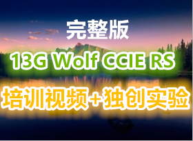 13G Wolf ° CCIE RS ѵƵ ʵ  һѧ˼缼γ