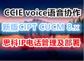 CCIE voice语音协作 新版CIPT CUCM思科IP电话管理及部署 UCCM8.x部署
