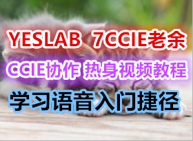 CCVP YESLAB ����Cisco����ȫ��CCIE���� warmup ѧϰ��������������Ƶ�̳�