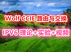 Wolf CCIE 路由与交换 专题视频精讲IPV6理论和实验视频课程