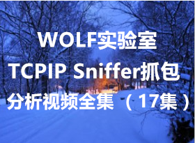 wolfʵTCPIP Snifferץ߼Ƶȫ 17