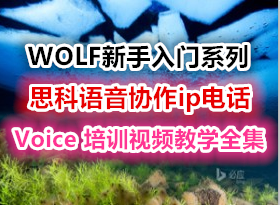 WOLFϵ˼Эip绰CCVP CCIE Voice ѵƵѧȫ