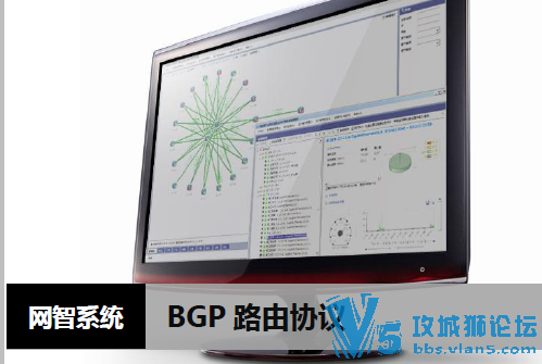 BGP·��Э�� ��ѡ·�� ����·����������ʵ��  ITϵͳ��ά  ��������IT��ѯ