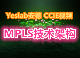 Yeslab MPLSܹƵ̳̣26TE CEFת