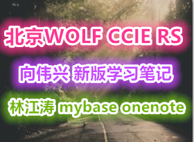 WOLF CCIE RS ֱͨȫ ΰѧϰʼ° -ֽ mybase onenote
