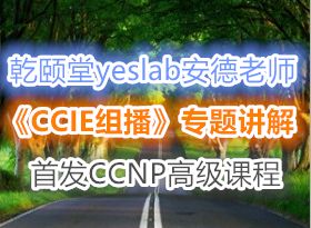 Ǭ����yeslab������ʦ��CCIE�鲥��ר����Ƶ�����׷�CCNP�߼��γ�