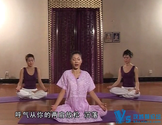 瑜珈入门练习学习 漂亮妈妈瑜伽 瘦身减肥美体 56集