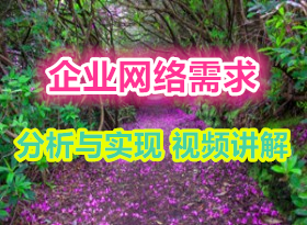 ��ҵ�������������ʵ�֡�CCIEϵ�й滮 ���� ʵʩ �ܽ᡿14��