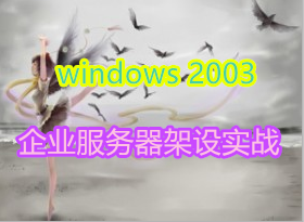 Windows������ʵս 2003��������ܹ� ��Ƶ�̳̣�63�����ʼ�dns��ҵӦ��ʵʩ