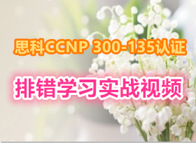 Ƽ~רΪ˼CCNP300-135֤ƵŴѧϰʵսƵ 12